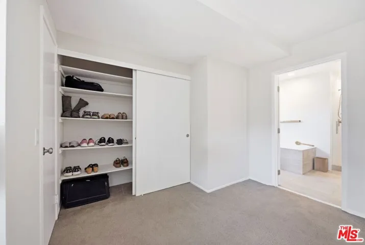 Bonus Closet in Primary Bedroo