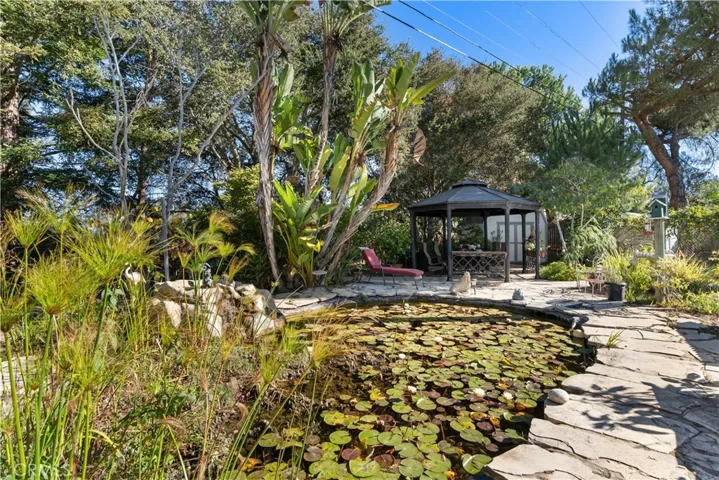 Multiple pathways and settings, including a lily pond