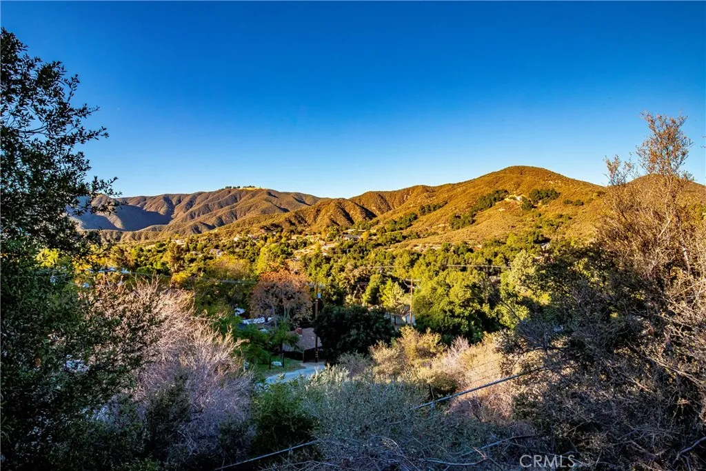 39100 Calle Essencial, Green Valley, California 91390 home-pic-36