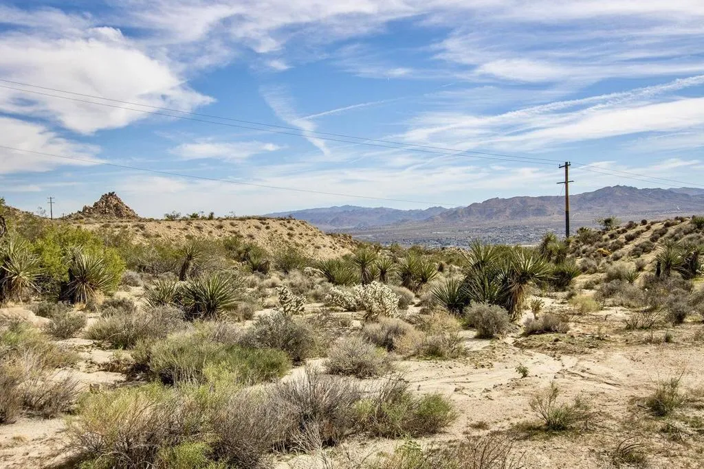 101 Nelson Road, Yucca Valley, California 92284 home-pic-15