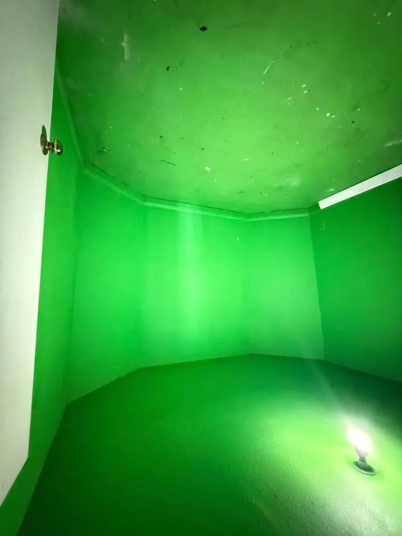 2841 Filbert Street, Oakland, California 94608 home-pic-6