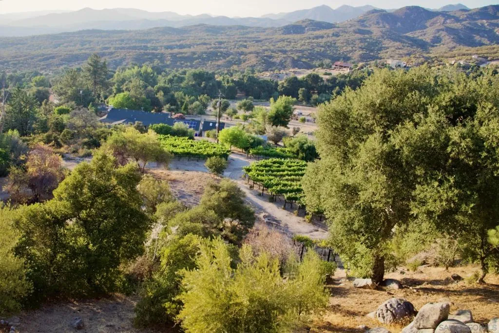 32800 Camino Ortega, Warner Springs, California 92086 home-pic-0