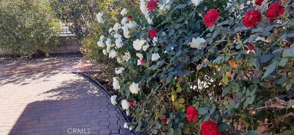 1484 Pepper Tree, Hemet, California 92545 home-pic-10