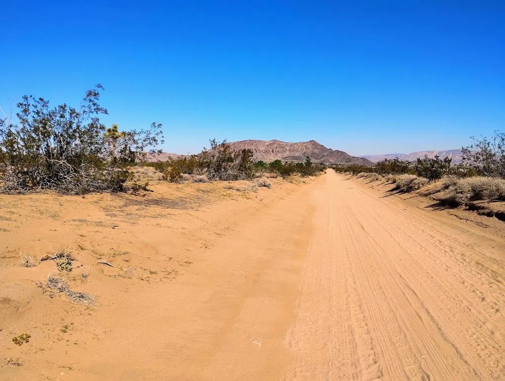 565 Inez Avenue, Landers, California 92285 — photo 4