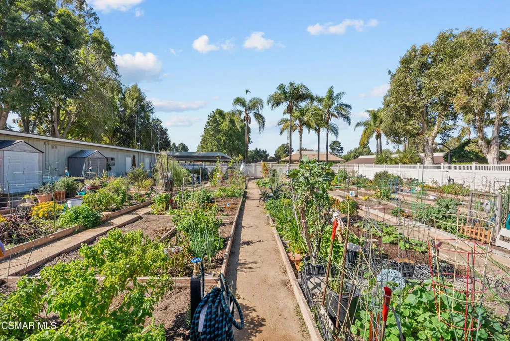 6204 Village 6, Camarillo, California 93012 home-pic-44