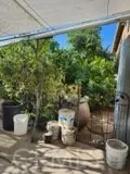 1238 E 100th, Los Angeles, California 90002 home-pic-16