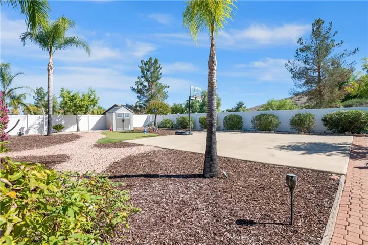 Backyard Oasis