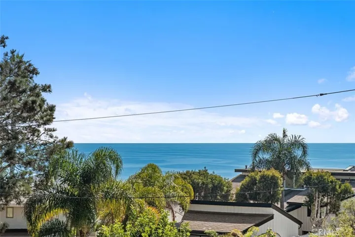 Whale watching anyone?