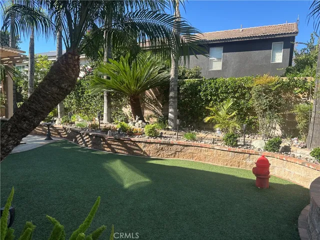  front view of backyard