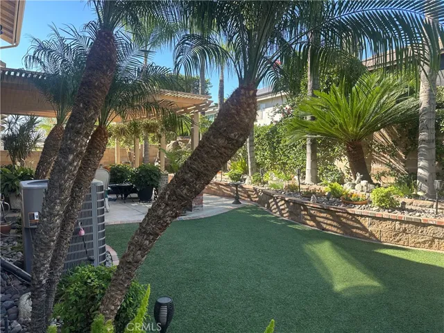  lush green plant  full grow palm