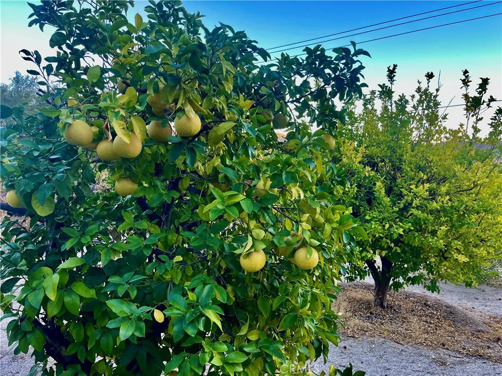 49974 49774 Palo Verde, Morongo Valley, California 92256 home-pic-10