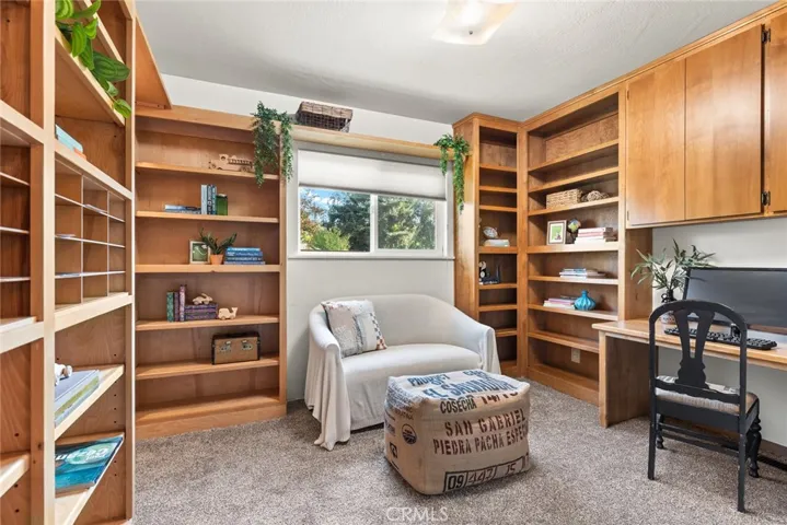 Bedroom #3 / Office
(Large closet)