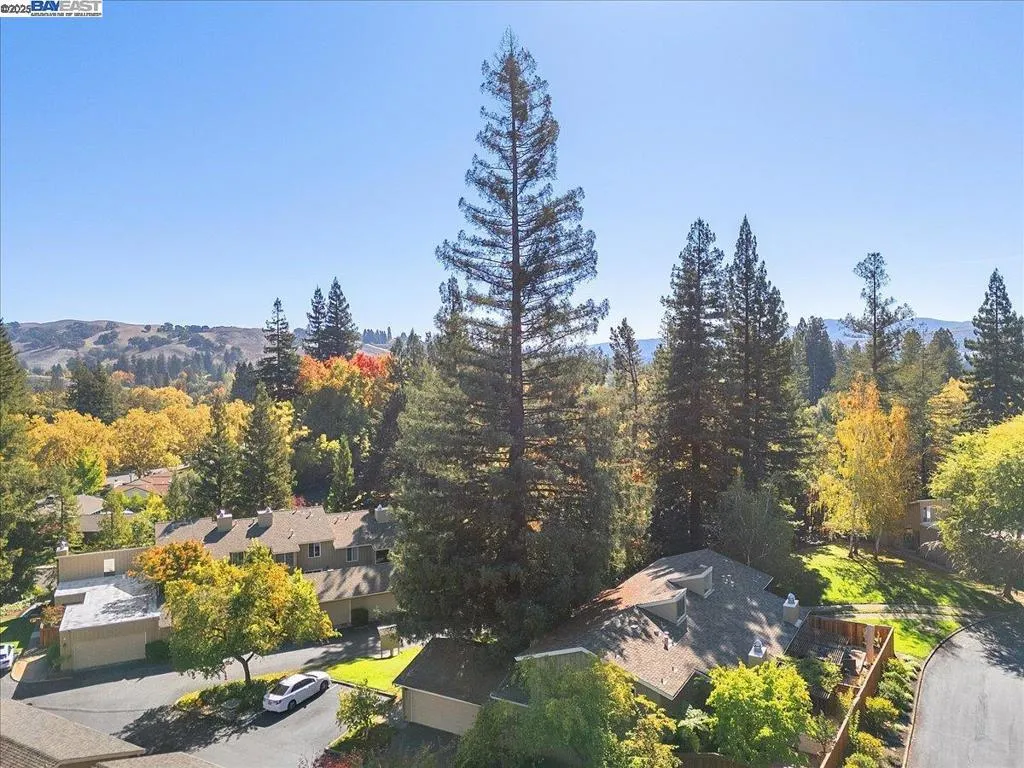 441 Sycamore Hill Dr, Danville, California 94526 home-pic-40