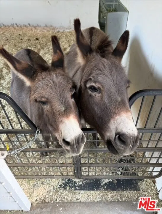 6052 Merritt Drive, Malibu, California 90265 home-pic-63