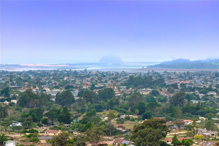 Aerial View of the Neighborhood