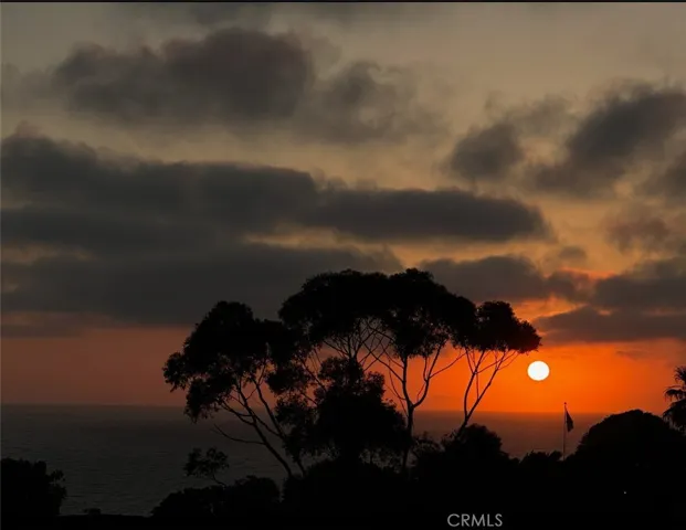 Another night in paradise