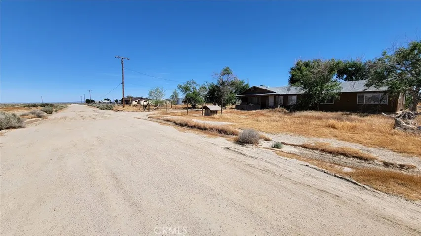 NEIGHBORS NEXT TO VACANT LOT