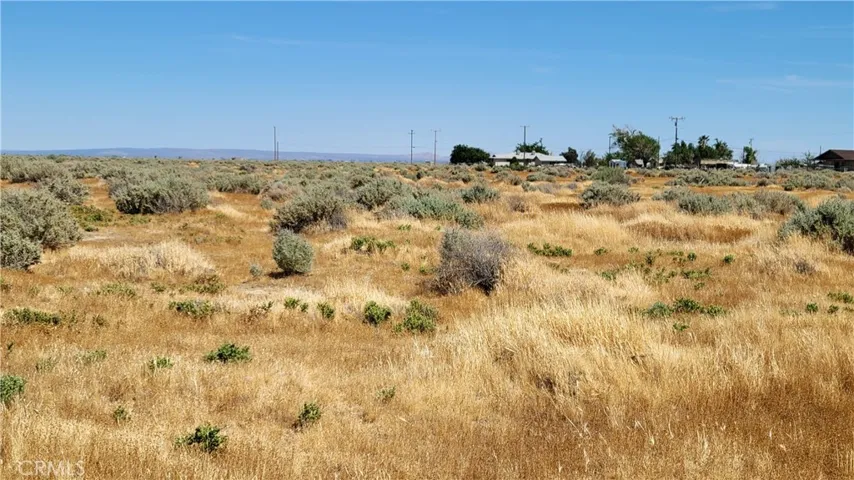 VACANT LOT FACING SOUTH EAST