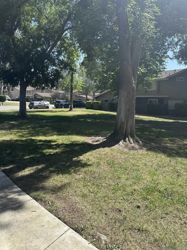 1524 Gustavo St D, El Cajon, California 92019 home-pic-44