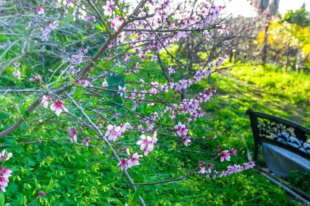 1248 Via Christina, Vista, California 92084 home-pic-42