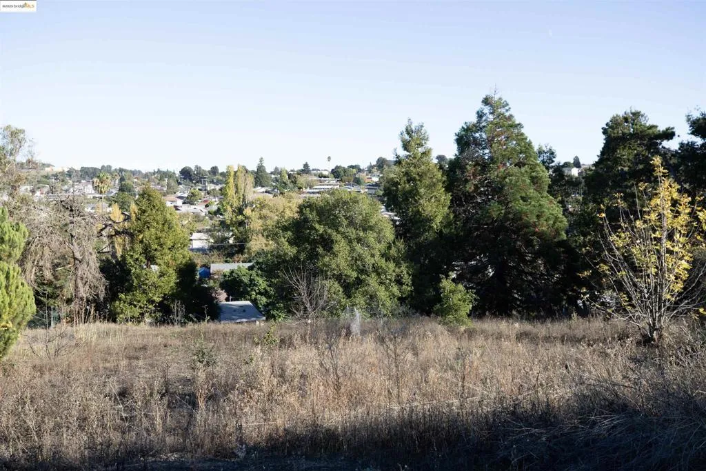 View of local wilderness