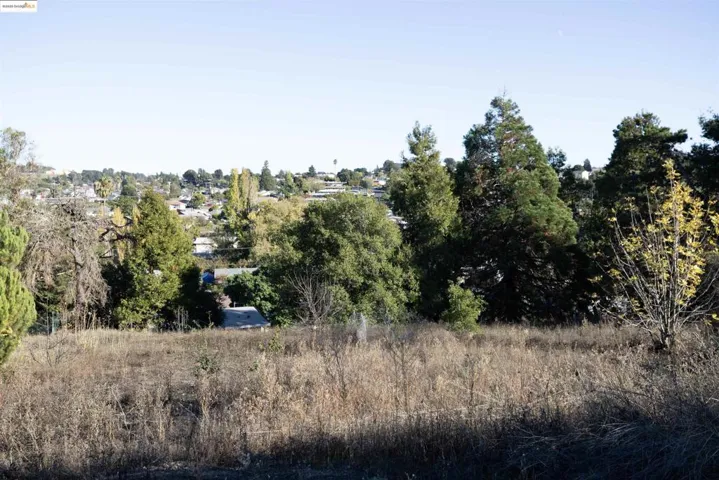 View of local wilderness