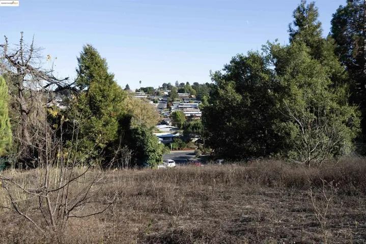 View of nature