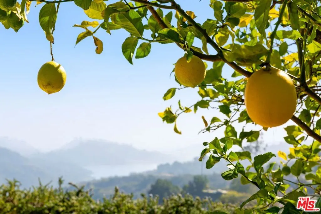 15216 Antelo Place, Los Angeles, California 90077 home-pic-47