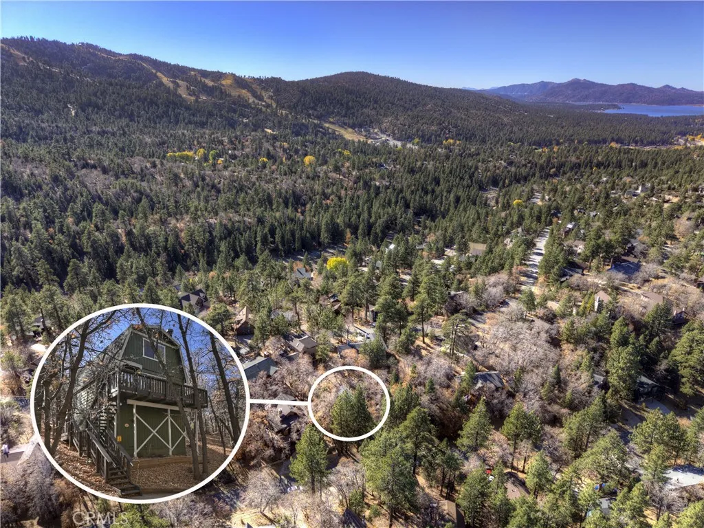 1709 Columbine, Big Bear City, California 92315 home-pic-1