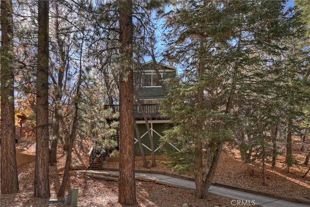 1709 Columbine, Big Bear City, California 92315 home-pic-2