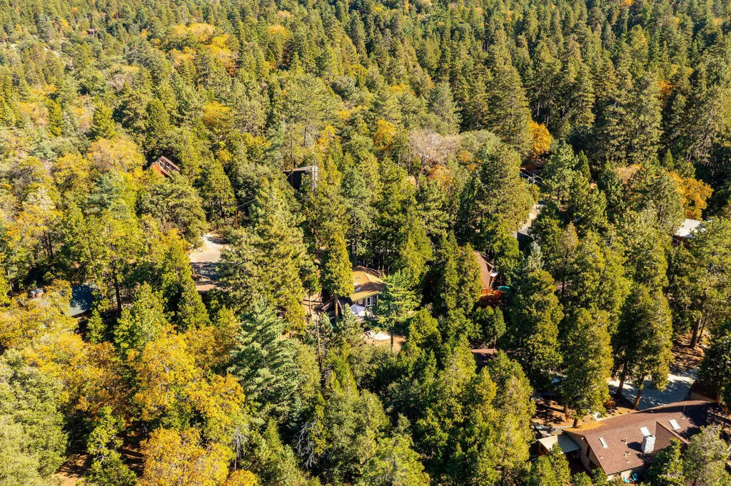 25275 Norwood Drive, Idyllwild, California 92549 home-pic-55