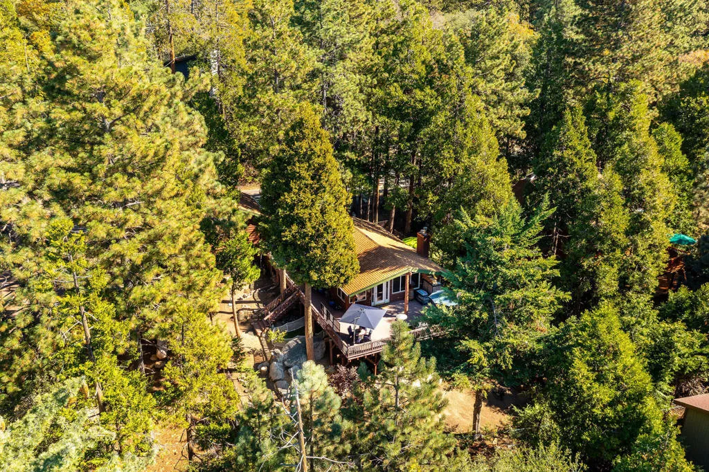25275 Norwood Drive, Idyllwild, California 92549 home-pic-48