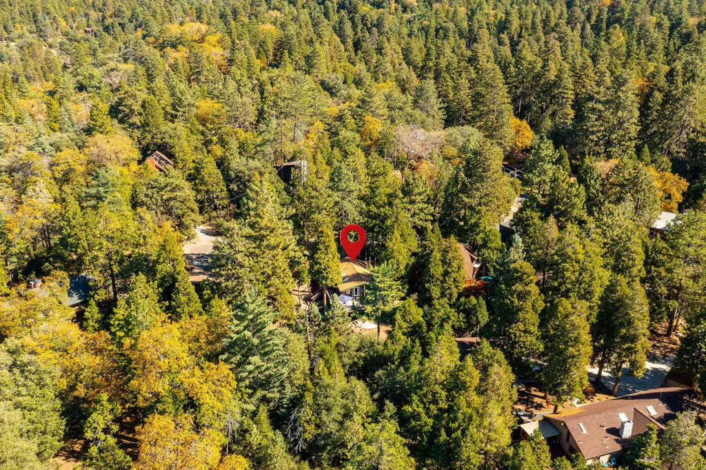 25275 Norwood Drive, Idyllwild, California 92549 home-pic-54