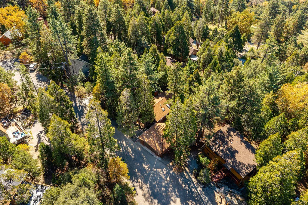 25275 Norwood Drive, Idyllwild, California 92549 home-pic-56