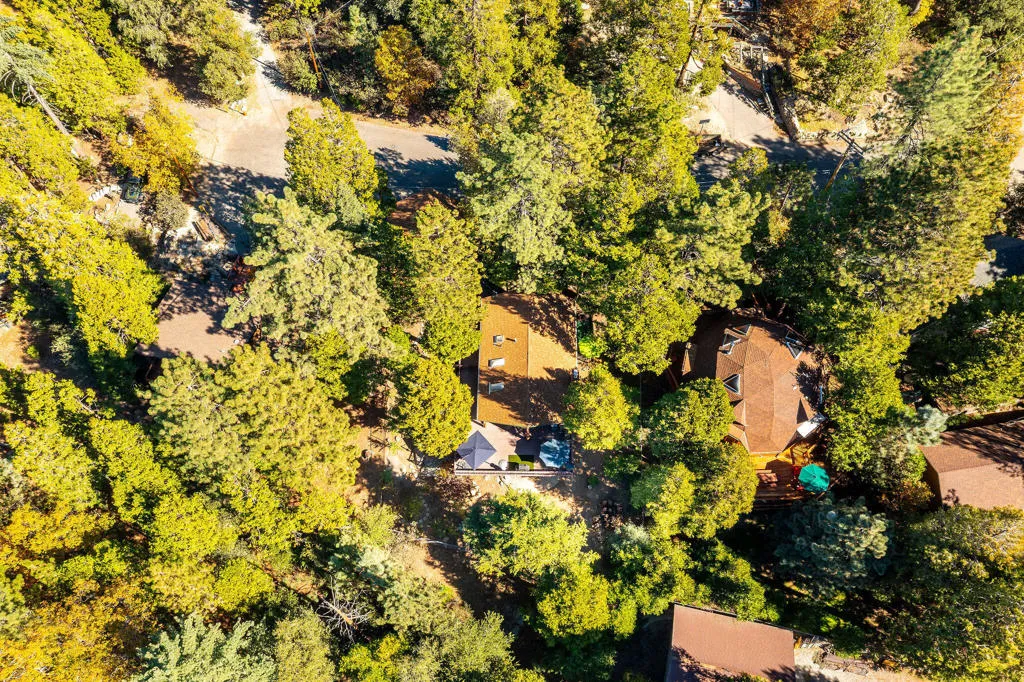 25275 Norwood Drive, Idyllwild, California 92549 home-pic-47