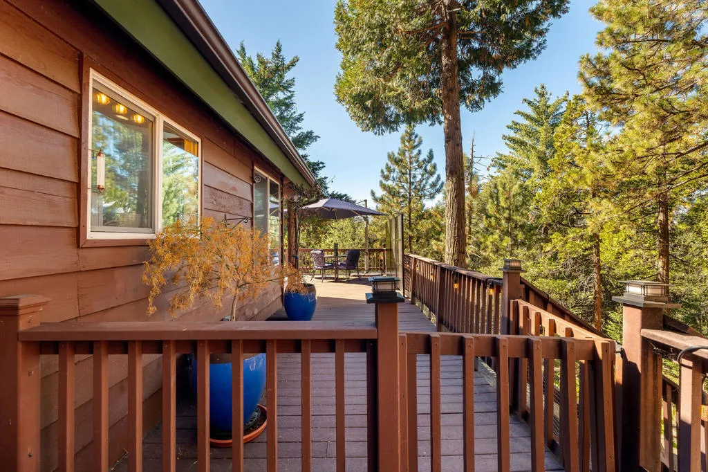 25275 Norwood Drive, Idyllwild, California 92549 home-pic-44