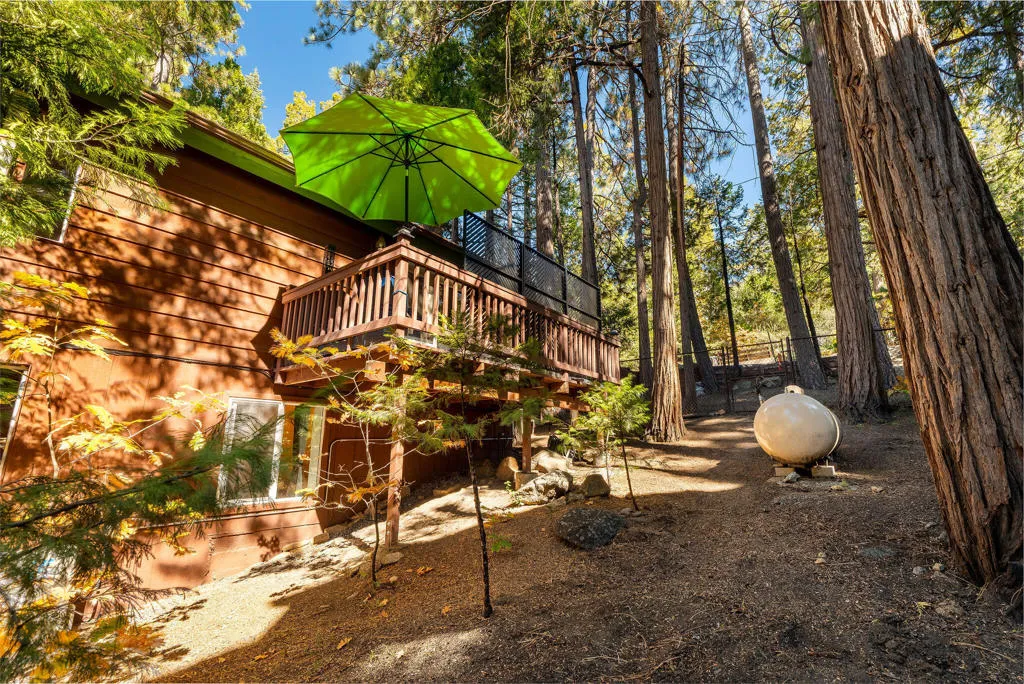 25275 Norwood Drive, Idyllwild, California 92549 home-pic-42