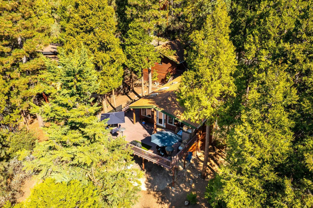 25275 Norwood Drive, Idyllwild, California 92549 home-pic-49