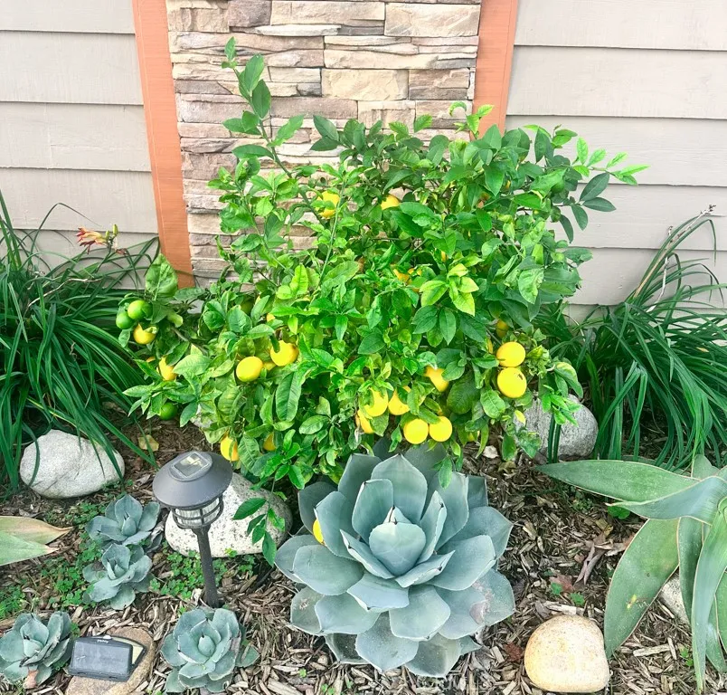 2425 Heather Avenue, Long Beach, California 90815 home-pic-4