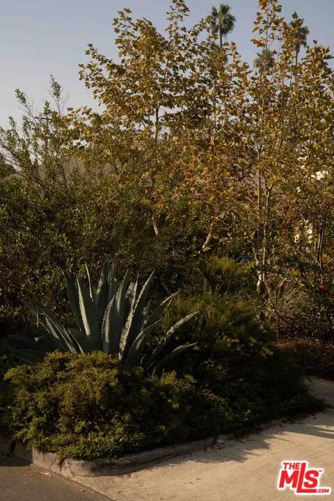 4179 S Van Ness Avenue, Los Angeles, California 90062 home-pic-41