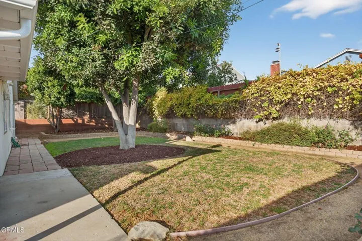 Garden and Lawn Area