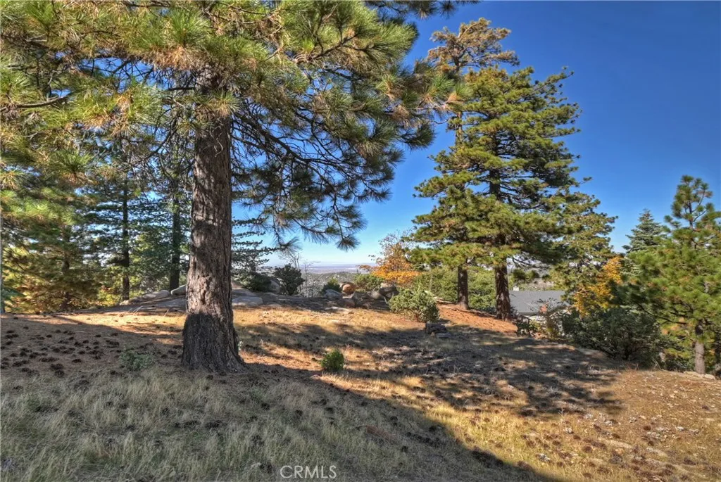 26077 Walnut Hills, Lake Arrowhead, California 92391 home-pic-55