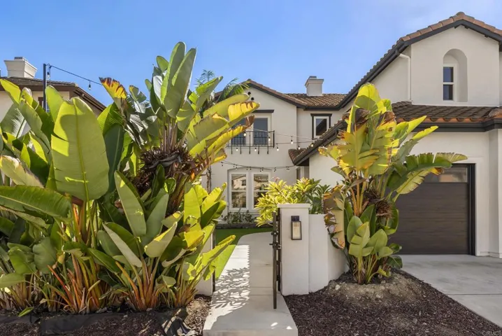743 Avenida Leon, San Marcos, California 92069