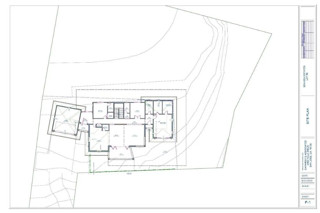 Revised Potential Floor Plan