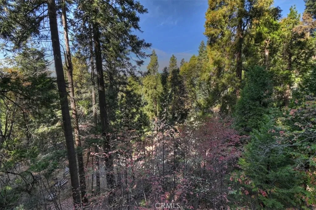 804 Oakmont, Lake Arrowhead, California 92352 home-pic-28