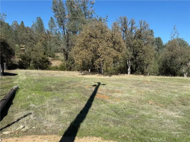 16712 Stagecoach Rd, Corning, California 96021
