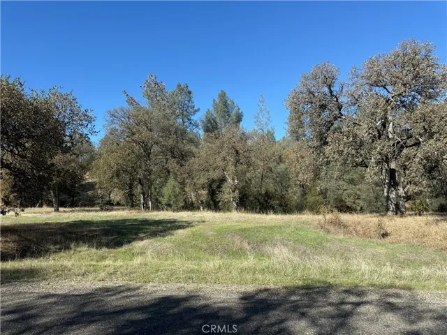 16712 Stagecoach Rd, Corning, California 96021