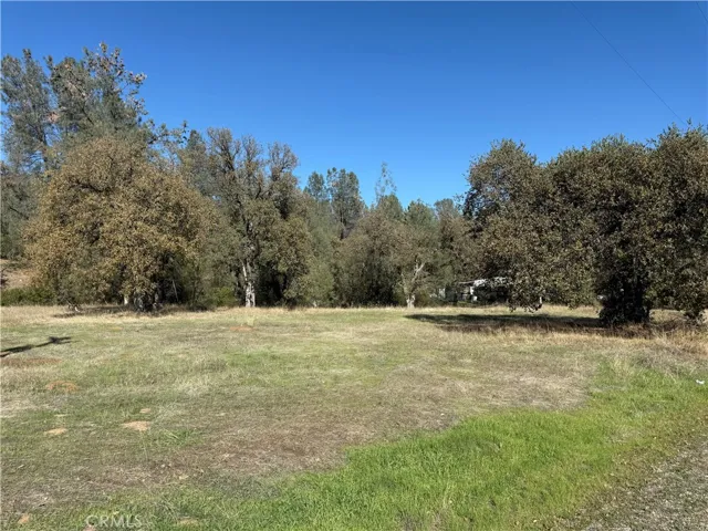 16712 Stagecoach Rd, Corning, California 96021