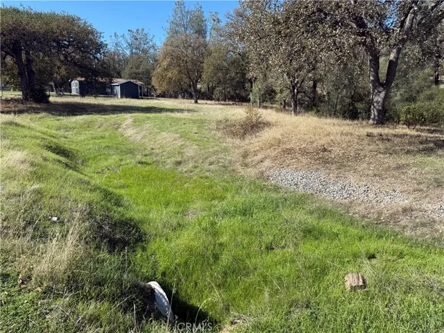16712 Stagecoach Rd, Corning, California 96021