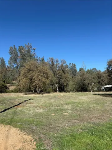 16712 Stagecoach Rd, Corning, California 96021